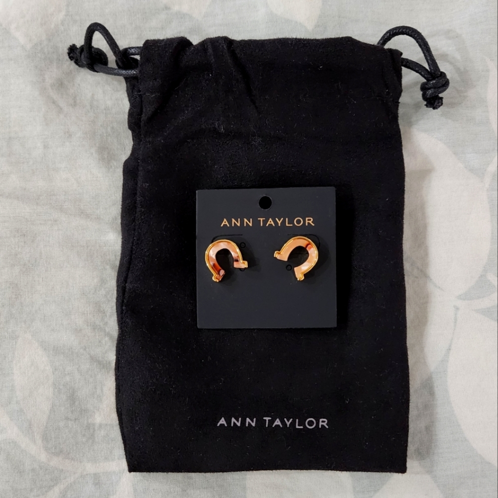 Ann Taylor Omega Horseshoe Earrings